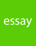 essay